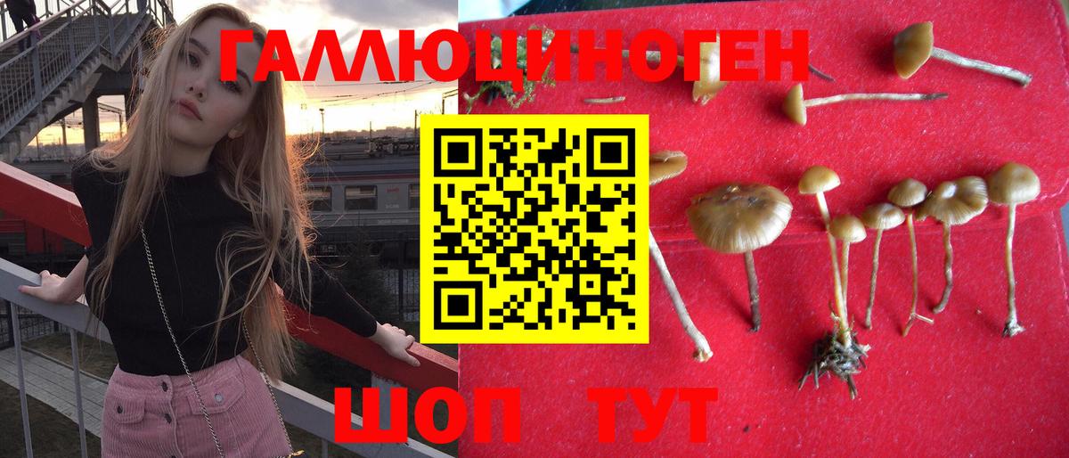 Галлюциногенные грибы прущие грибы  Вход с VPN  Реутов 